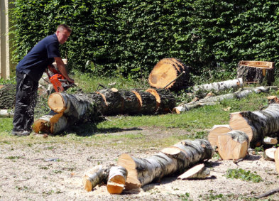 This is a picture of a tree trimming project by NWA Brothers Tree Service in Springdale, Arkansas.