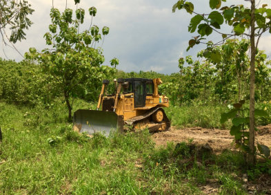This is a picture of a lot clearing project by NWA Brothers Tree Service near Bella Vista, Arkansas